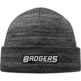 Allegheny Badgers New Era On-Field Knit Beanie